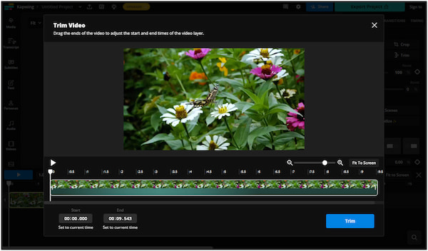 Kapwing Online Video Editor