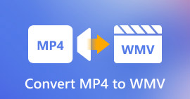 Convert MP4 to WMV