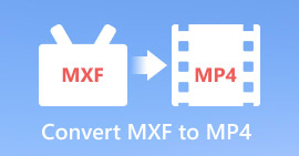 Convert MXF to MP4