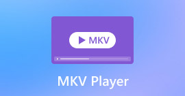 Mkv Player