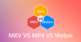 Mkv Vs Mp4 Vs Webm